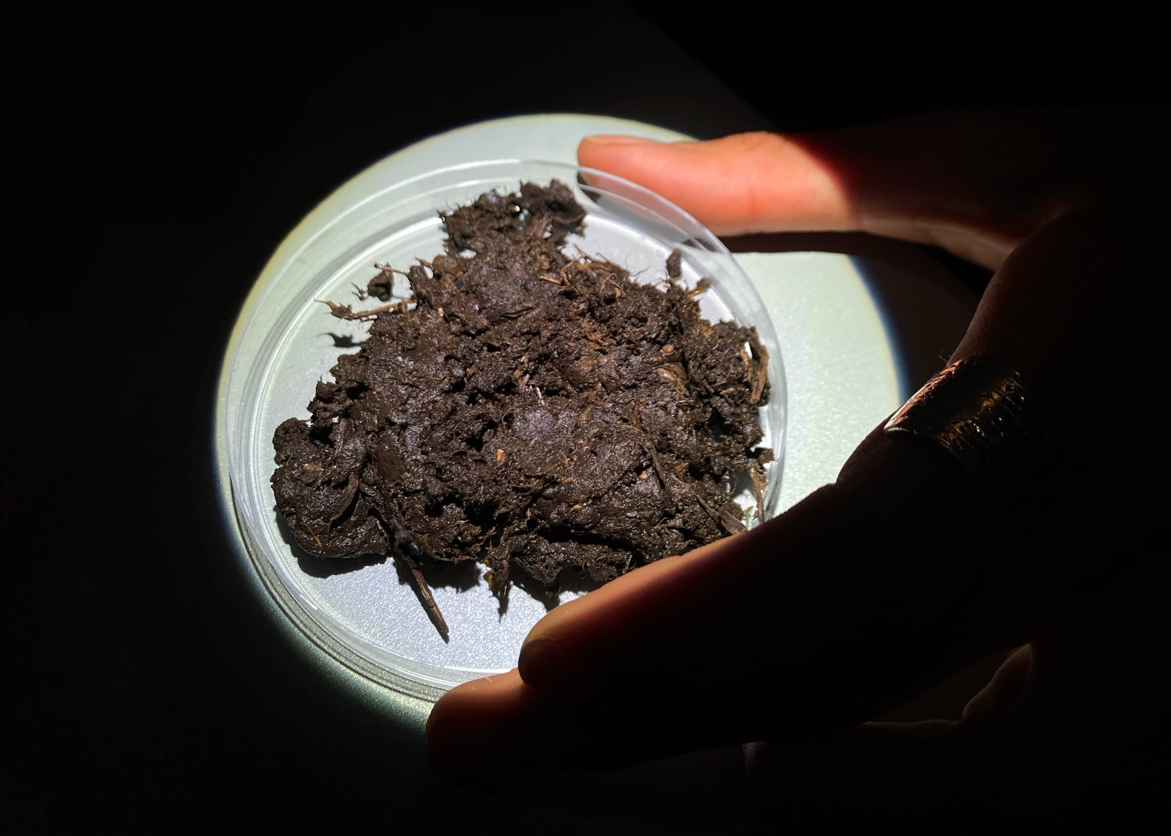 Luar – Bovisa Art District